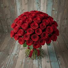 Букет 55 Красных роз Фридом в Лямино