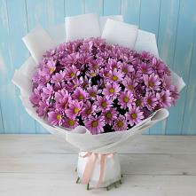 Букет цветов из:  Хризантемы #REPLACE_PRED# Лямино